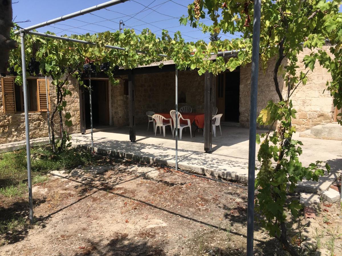 Friendly Villagehouse Paphos Exterior photo